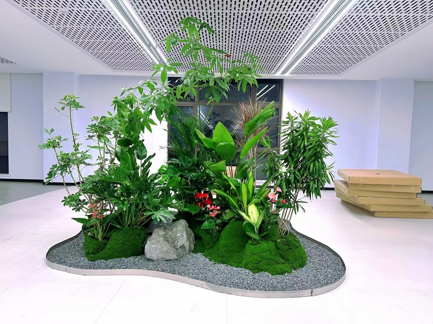 专业盆景出租,宁波前湾的绿色艺术盛宴