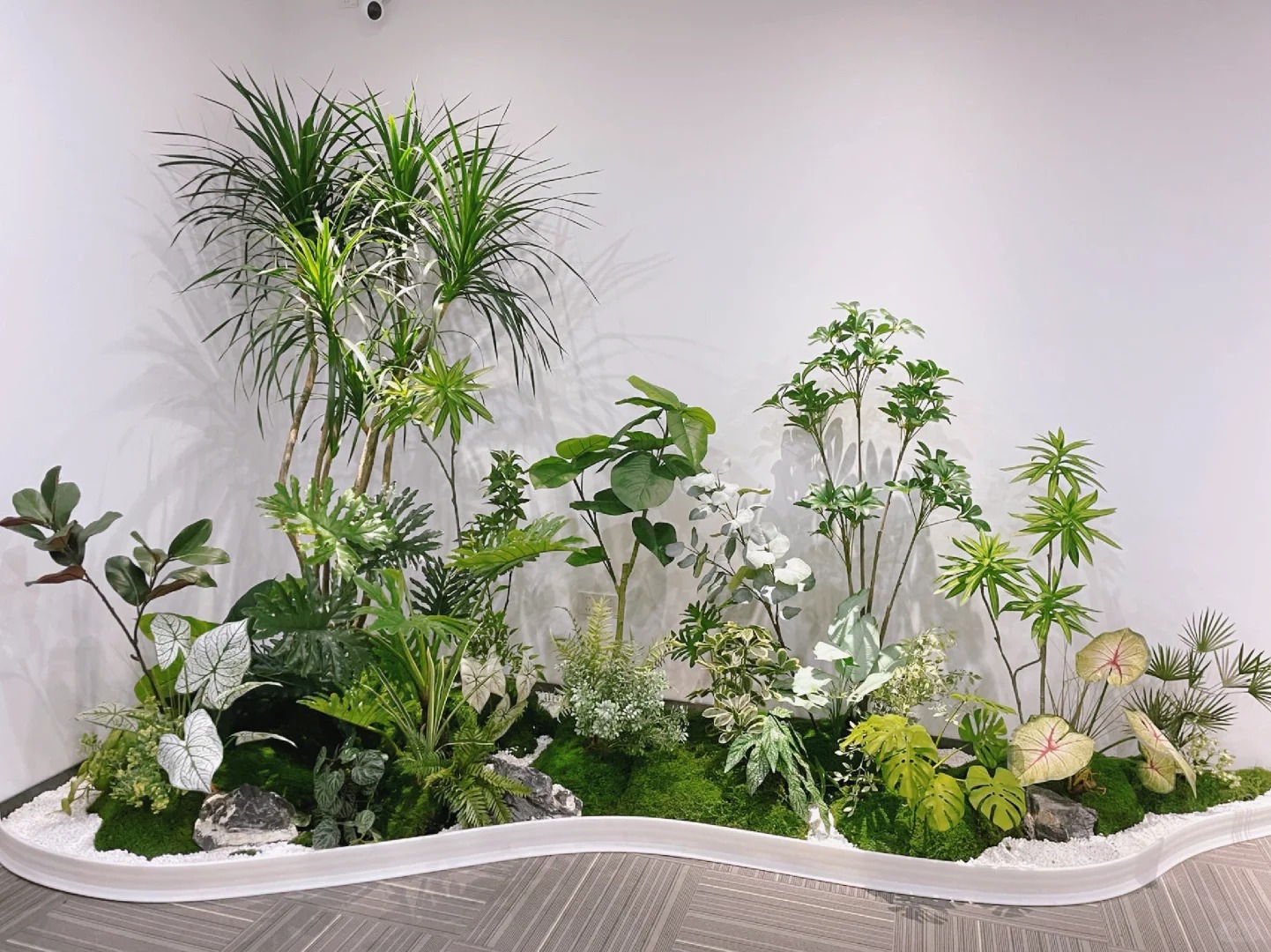 专业盆景出租,宁波前湾的绿色艺术盛宴